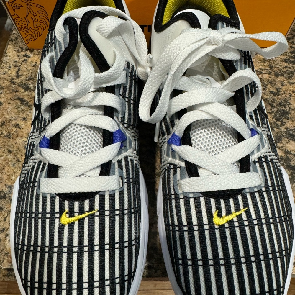 Nike LeBron witness 6 basketball shoes brand new in box